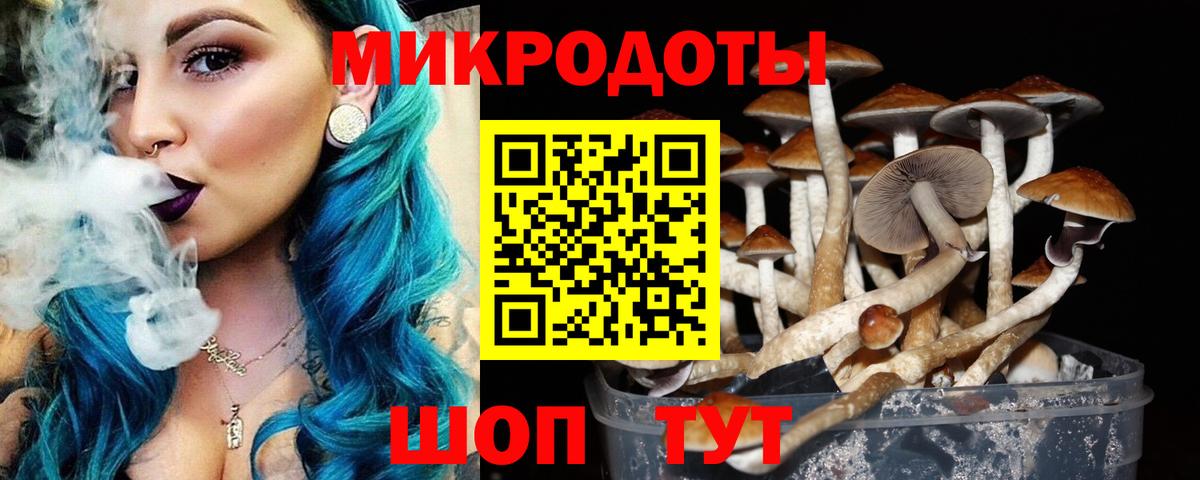 Галлюциногенные грибы Psilocybe Мыски