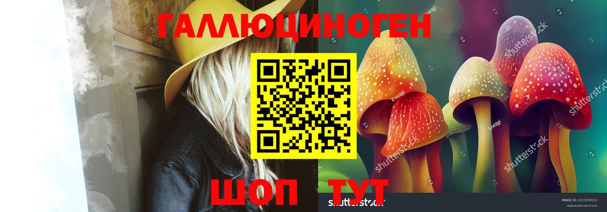 Мыски  Галлюциногенные грибы Magic Shrooms  Вход с VPN 